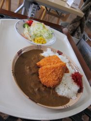 人気メニューはカツカレー!